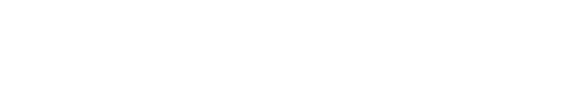 IBS Software